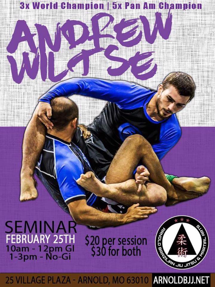 Andrew Wiltse Seminar - Arnold BJJ