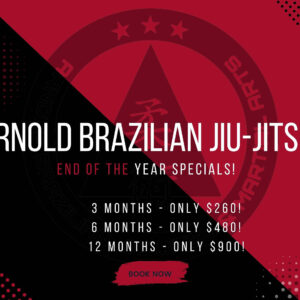3 MONTHS ( End Of Year Special )
